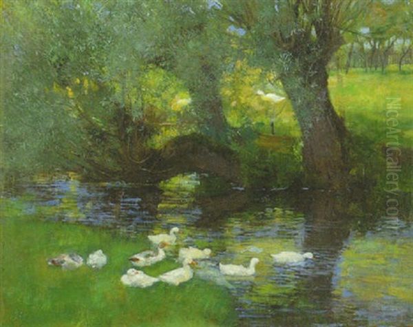 Enten Am Weiher Unter Baumen Im Ommer - view 1