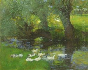 Enten Am Weiher Unter Baumen Im Ommer by Franz Graessel
