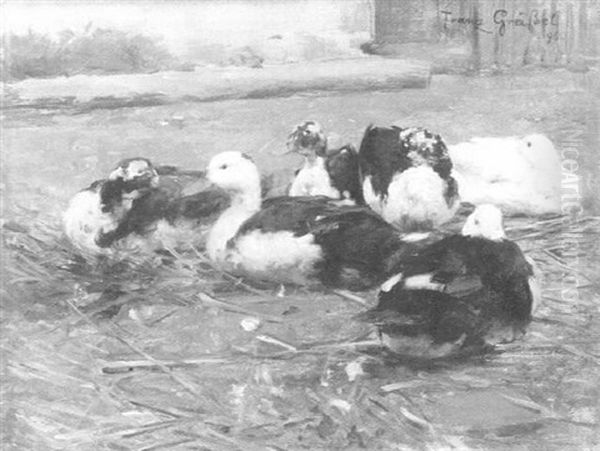 Enten Auf Dem Bauernhof - view 1