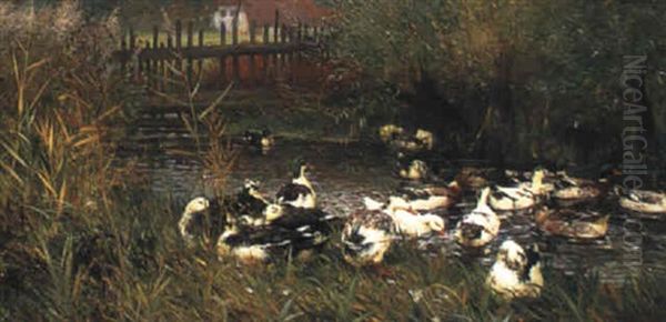 Enten Am Bach - view 1