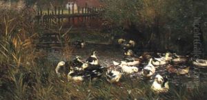 Enten Am Bach