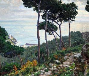 Nervi Nervi