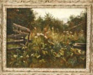 Landschaft Mit Wildwuchs Und Altem Gatter