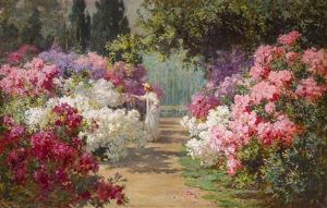 In Bloom In Bloom
