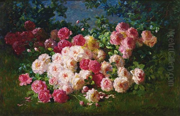 Pink And Red Roses - view 1