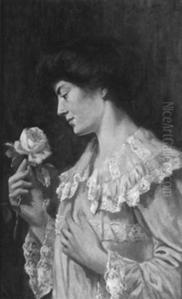 A Pink Rose - view 1