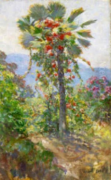 Flowering Vines On Palm Tree - view 1