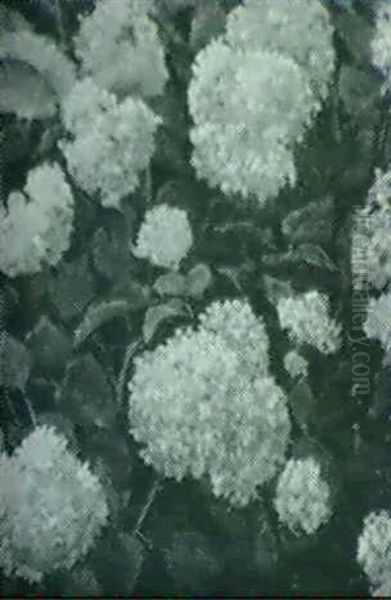 Floral - view 1