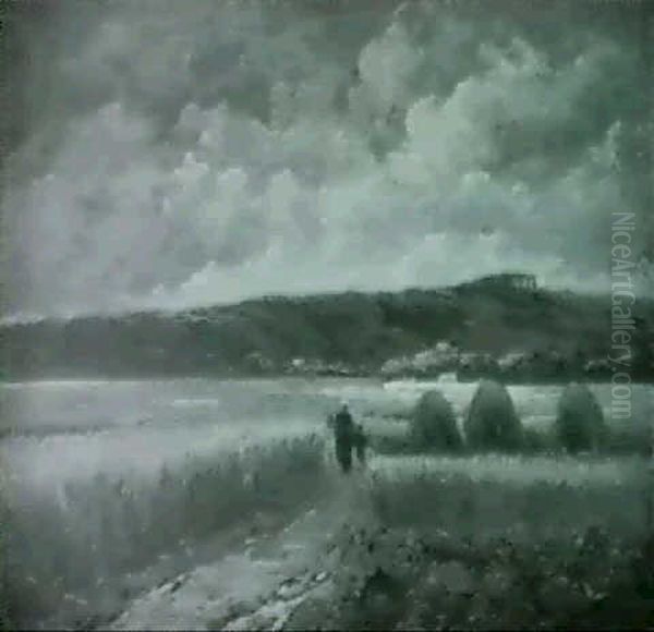 A Walk Through The Fields - view 1