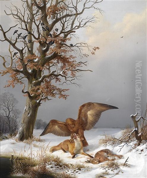 Ein Steinadler Kampft Mit Einem Fuchs Um Den Hasen - view 1
