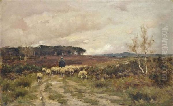 Across The Common - view 1