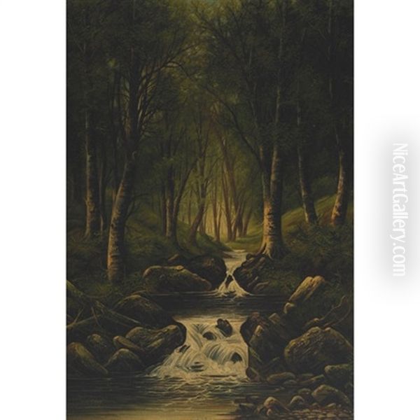 A Woodland Brook - view 1
