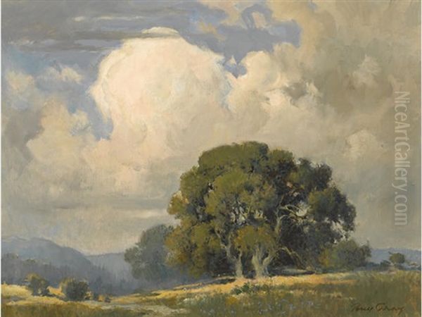 Oaks Beneath Billowing Clouds - view 1
