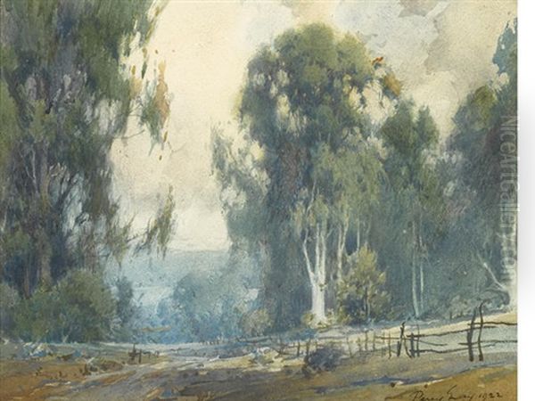 Eucalyptus In The California Hills - view 1