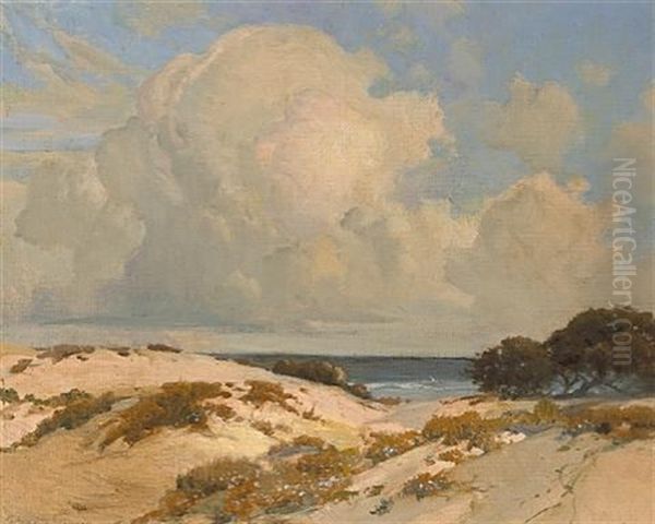 Summer Sand Dunes - view 1