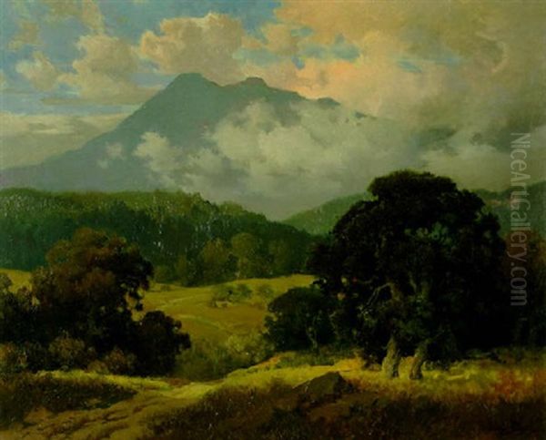 Sun Dappled Oaks With Mount Tamalpais In The Distance - view 1
