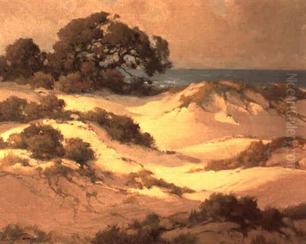 Sand Dunes Along The Monterey Coast - view 1