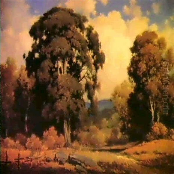 Aetna Springs Landscape - view 1