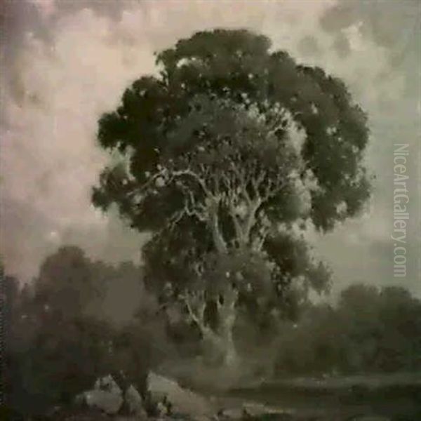 Oak Tree, Marin - view 1
