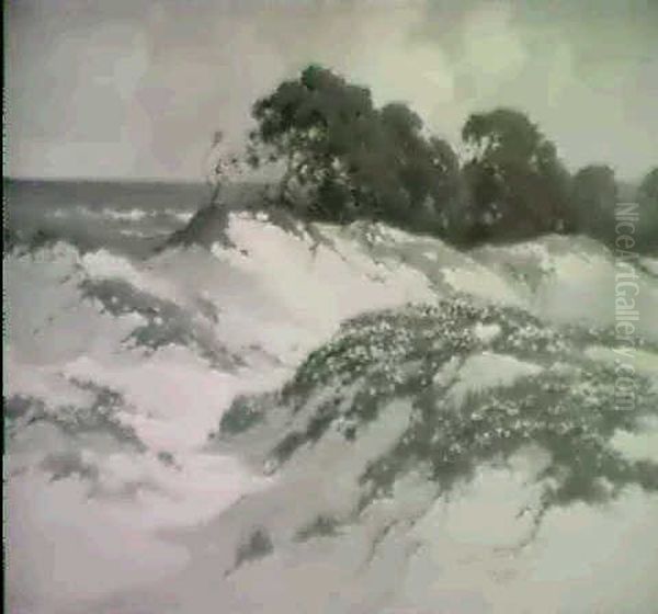 Monterey Sand Dunes - view 1