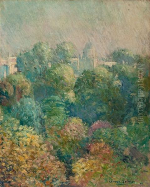 Tree Tops From Boulevard Raspail, Paris - view 1
