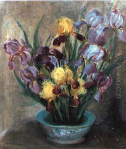 Still Life - view 1