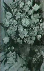 Floral Still Life