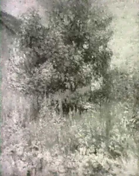 Landscape - view 1