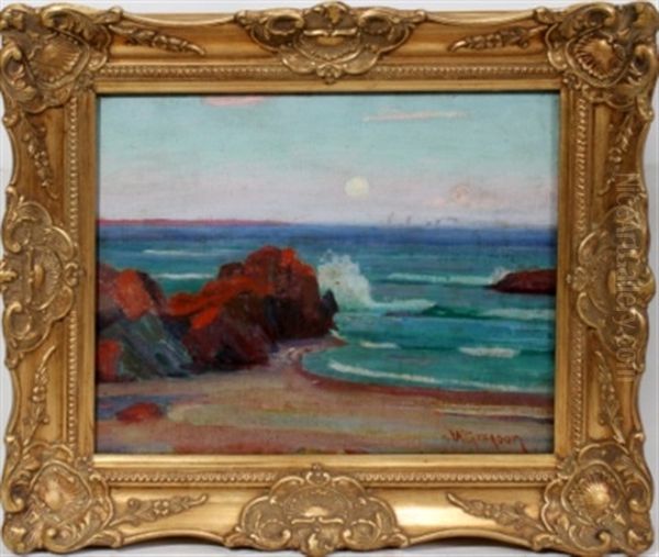 Coastline Scene - view 1