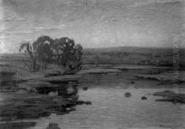 Pond Landscape With Trees - view 1