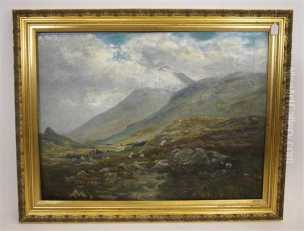 Highland Scene With Sheep In The Foreground - view 1