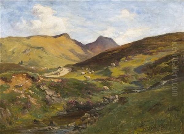 Meadow With Sheep - view 1