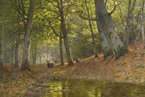 Im Darswald by Fritz Grebe