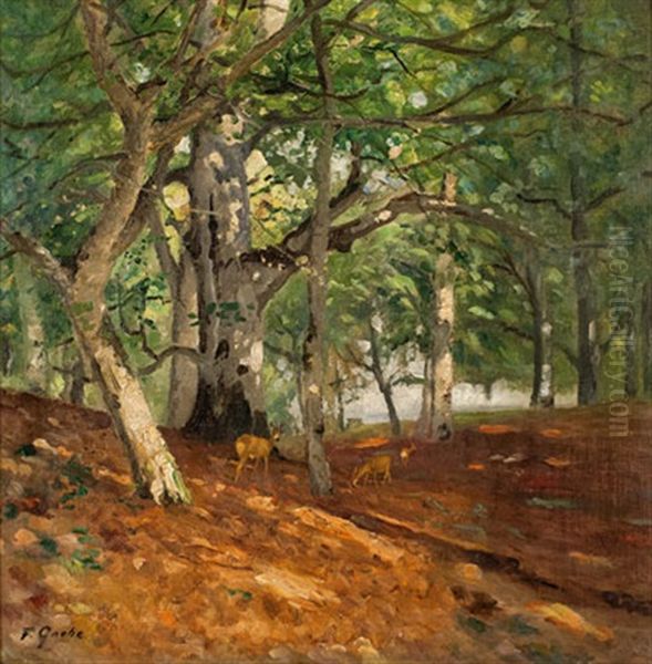 Darswald - view 1