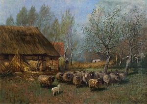Fischlander Katen Mit Schafherde Im Fruhling
