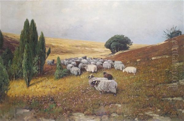 Sheep In A Moorland Landscape - view 1
