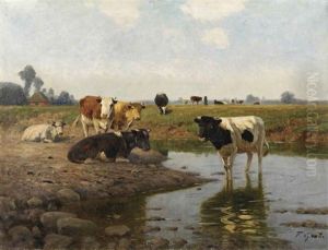 Cows In The Meadow