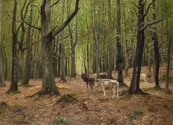 Kuhe Im Wald - view 1
