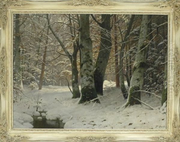 Winterwald Mit Bachlauf - view 1