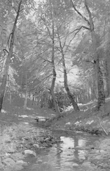 Waldbach - view 1