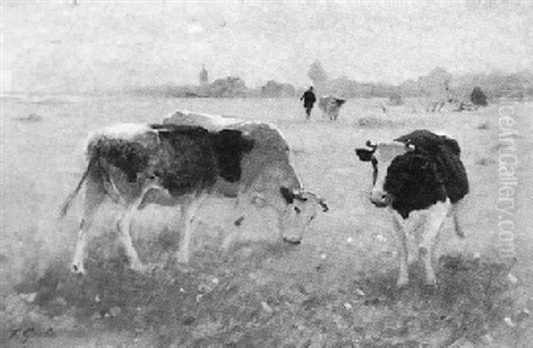 Cattle In A Meadow - view 1