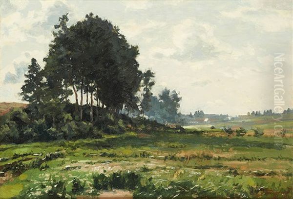 Vue Des Plaines De La Woluwe - view 1