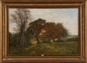 Paysage Paysage