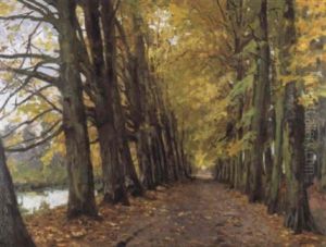 Beukendreef In De Herfst Beukendreef In De Herfst