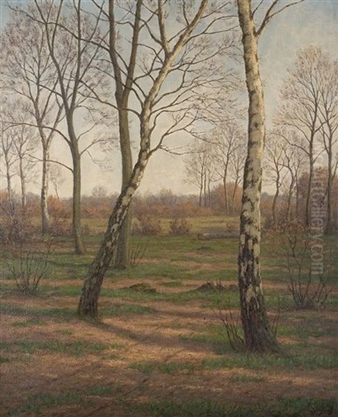 Birken In Der Heide - view 1