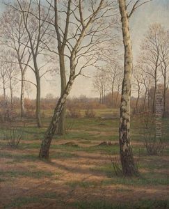 Birken In Der Heide Birken In Der Heide