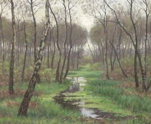 Im Birkenwald