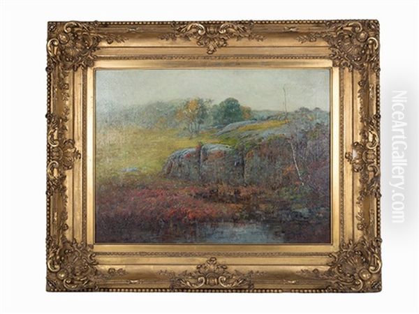 Foster Woods - view 1