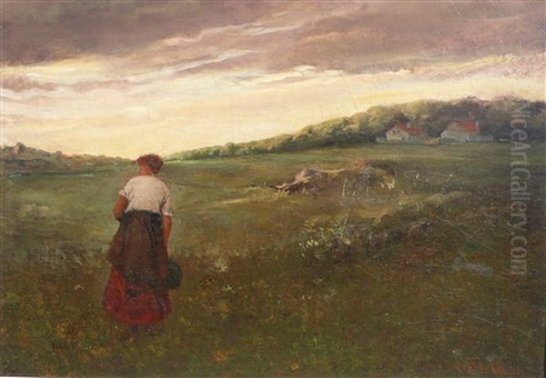 In The Field - view 1