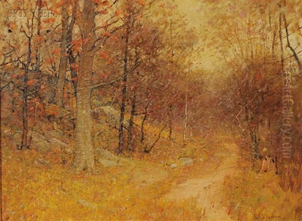 Autumn Trees In Forest - view 1